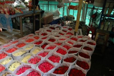 COMERCIO - FLOR (4)
